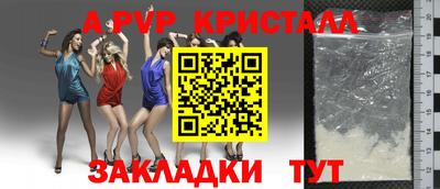 индика Будённовск