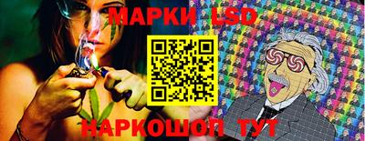 индика Будённовск