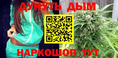 индика Будённовск
