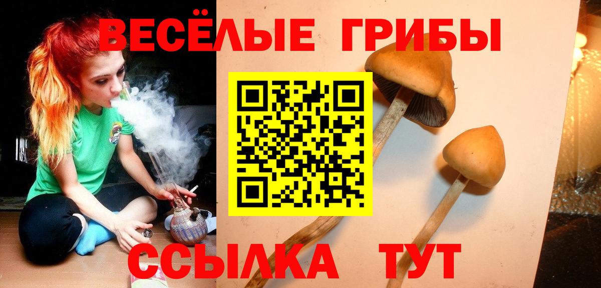 Хасавюрт  Псилоцибиновые грибы ЛСД  Вход с VPN  Псилоцибиновые грибы MAGIC MUSHROOMS 