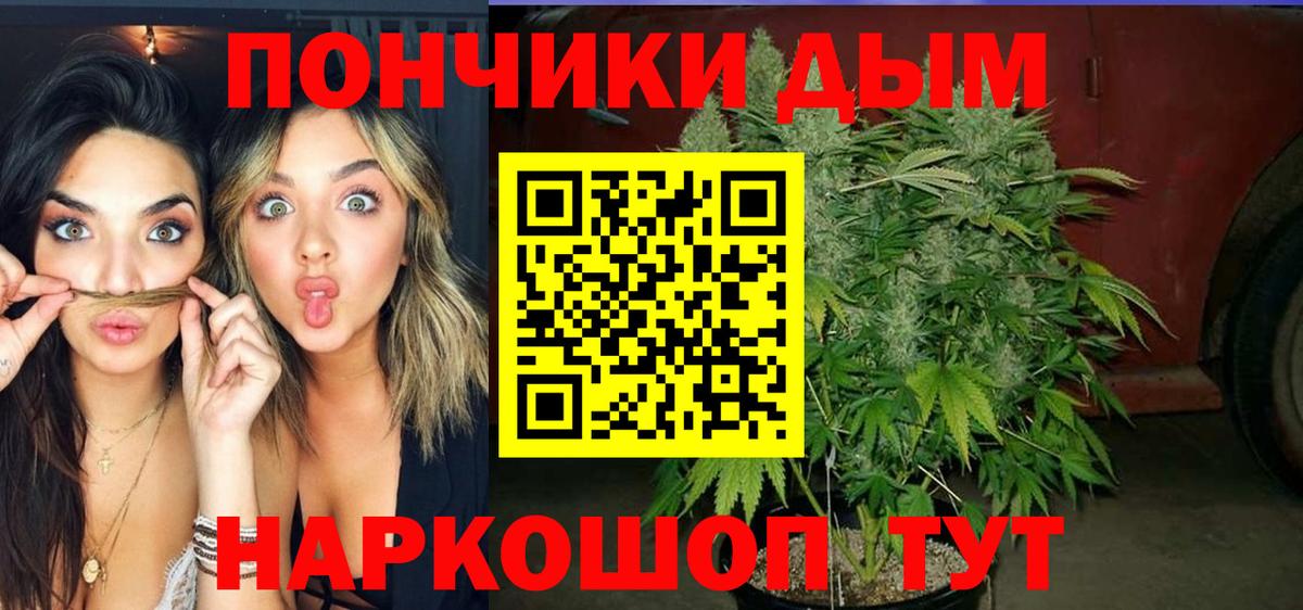 Бошки марихуана ГИДРОПОН  Шишки марихуана SATIVA & INDICA  Вход с VPN  Хасавюрт  Канабис LSD WEED 